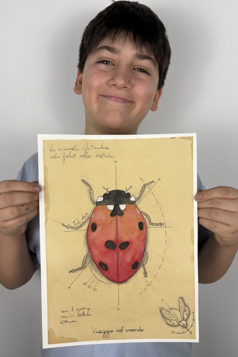 Viaggio nel mondo: la Coccinella